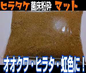 活きた菌糸マットを発送します！　甘い良い香りがします！　ヒマラヤひらたけ菌床粉砕クワガタマット 瓶に詰めるだけ！初令から羽化までOK