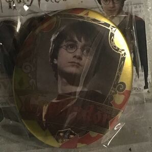 Harry Potter オーバルカンバッジコレクション【ハリー】の画像1