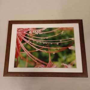  frame attaching photograph nature scenery interior 