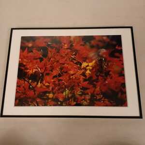  frame attaching photograph scenery nature work of art 