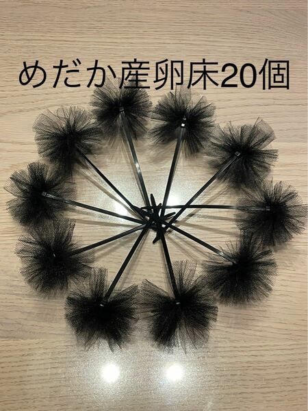 《めだか産卵床20個（チュール生地黒）の商品》