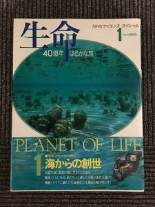 生命 40億年はるかな旅1　海からの創世 / NHK取材班