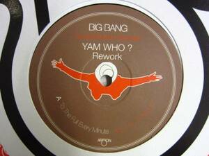 12inch BIG BANG / Limited Edition Sampler Yam Who? remix 5枚以上で送料無料