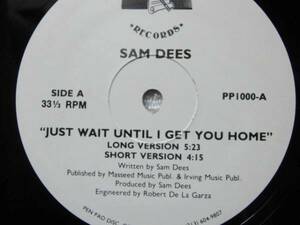 Sam Dees/Just Wait Until I Get You Home (Long Version)5:23 /I'll Be Loving You/Patricia Person/甘茶/1988/12インチ