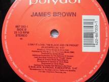 James Brown/Say It Loud, I'm Black And I'm Proud The Hip-Hop Remix /Epitome Of Scratch/Buddha/Professor X/1991/12インチ_画像2