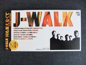 CDシングル8㎝-3　　　　JAYWALK　　何も言えなくて　　J-WALK、ザ・ジェイ・ウォーク　音楽　歌手　　同梱可能　バンド