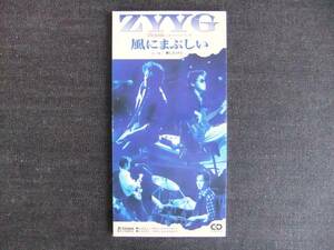 CDシングル8㎝-3　　　　ZYYG　　　風にまぶしい　　　ジーグ　音楽　歌手　　同梱発送可能　高山征輝　栗林誠一郎