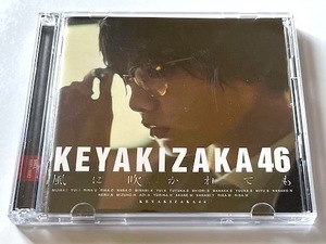 欅坂４６　ＣＤ＋ＤＶＤ・帯無し・写真特典付　風に吹かれても　ＴＹＰＥ　Ａ　★　渡邉理佐・長濱ねる・菅井友香・渡辺梨加・小池美波