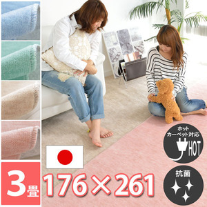 カーペット ラグ 3畳 3帖 絨毯 176×261 江戸間 抗菌 毛足短い グリーン 日本製 快適生活