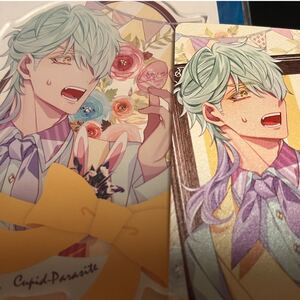 ピーター キュピパラ 2個セット