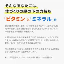 送料込み シードコムス seedcoms マルチビタミン ＆ マルチミネラル 90粒 約3ヶ月分 新品 未開封 ベース サプリメント MVM_画像7