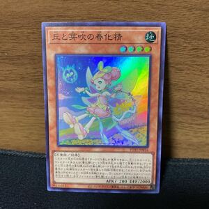 保管のみ　遊戯王　スーパーレア　丘と芽吹の春化精