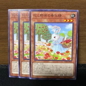 保管のみ　遊戯王　ノーマル　花と野原の春化精　3枚