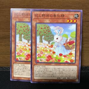 保管のみ　遊戯王　ノーマル　花と野原の春化精　2枚