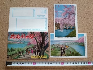 b■　加治川の桜　絵葉書　2枚セット　新潟県 新発田市 加治川堤　観光　名所　/b46