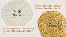 令和３年産 秋田県産あきたこまち ３０ｋｇ 玄米 うまい米 米専門 みのりや ポイント消化 送料無料_画像7