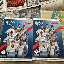 北海道新聞　2022 日本ハム選手名鑑　ファイターズ　チラシ　新庄　ビッグボス　新聞広告　ホクレン　JCOM サッポロ　マイナポイント_画像3