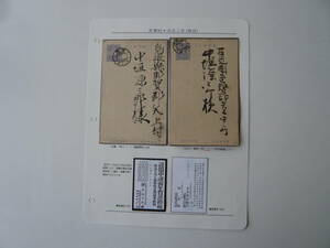 収集家の出品　年賀状2点　大正2年　（年月更埴エラー）