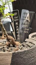 BK03 塊根植物パキポディウムグラキリス 亀甲竜園芸ラベル黒　8枚セット_画像3