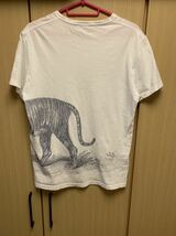 国内正規 ALEXANDER McQUEEN アレキサンダーマックイーン タイガー スカル 虎 骸骨 クルーネック Tシャツ S 63P-01-505-01_画像3