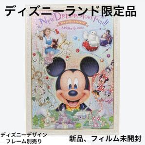 限定割引 TDL 限定 ジグソーパズル 未使用、未開封 ディズニー