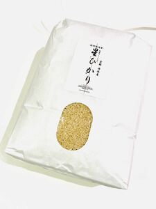 令和3年産【丹波産】コシヒカリ 玄米 -特別栽培米- “星ひかり” 3kg