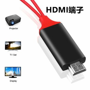 iphone HDMI変換ケーブル iphoneを大画面、カーナビにも！