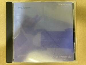 ★即決CD SOEGAARD ENSEMBLE multiverse Fredrik Soegaard FREE JAZZ 英盤2001年 leolabcd075