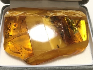 Книга Королевского янтаря Amber 33,3 г негабаритного размера 2 -й дизайн подвеска для дизайна и Brochi Beauty Case включены