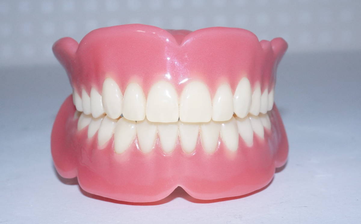 歯科 総義歯 サンプル 模型 見本 入れ歯 補綴 フルデンチャー 説明