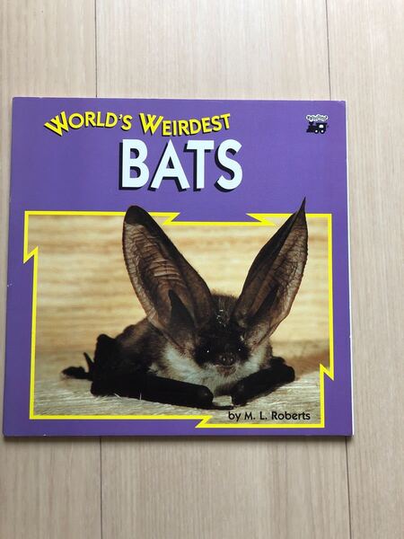 world's weirdest BATS