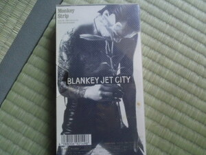 VHS ビデオ BLANKEY JET CITY ブランキージェットシティー Monkey strip