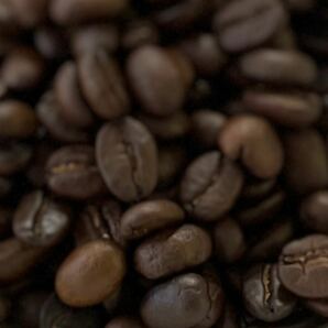 自家焙煎 メキシコ SHG 200g 注文後焙煎 YHR- COFFEE ギフト プレゼント 豆のまま コーヒー豆 コーヒー 珈琲