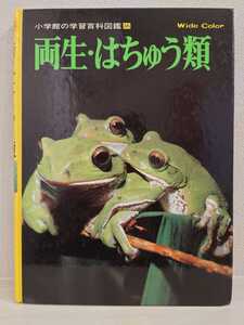 送料無料 両生・はちゅう類 小学館の学習百科事典 古本 USED アリゲーター クロコダイル サンショウウオ カミツキガメ イグアナ