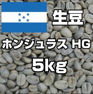 コーヒー生豆　ホンジュラス　5kg 【送料無料】