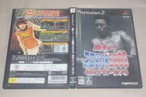 ▲PS2　熱チュー！プロ野球2003　秋のナイターまつり