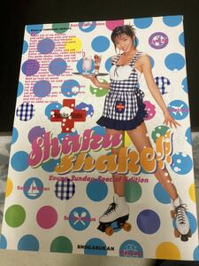 Shaku Shake!!　釈由美子　写真集　クリックポスト可能