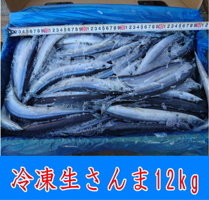 冷凍生さんま　12ｋｇ　100尾～130尾入り　業務用　加工用　秋刀魚　三陸産