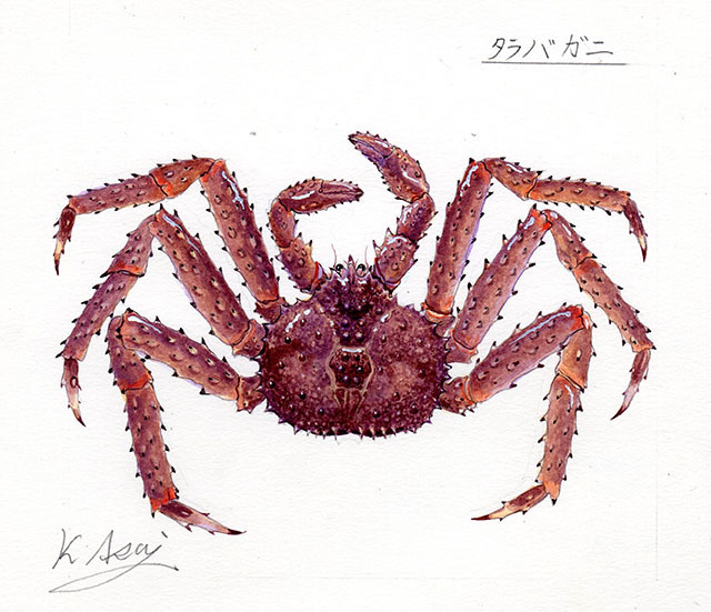 Aquarelle Peinture miniature biologique Crabe royal Shinsaku, peinture, aquarelle, dessin d'animaux