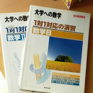 大学への数学 数学B 　数学Ⅱ　1対1対応の演習 東京出版