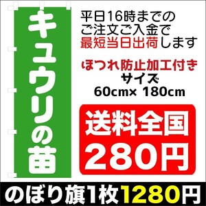 最短当日出荷　のぼり旗　送料198円から　bi1-nobori4162　キュウリの苗　ホームセンター