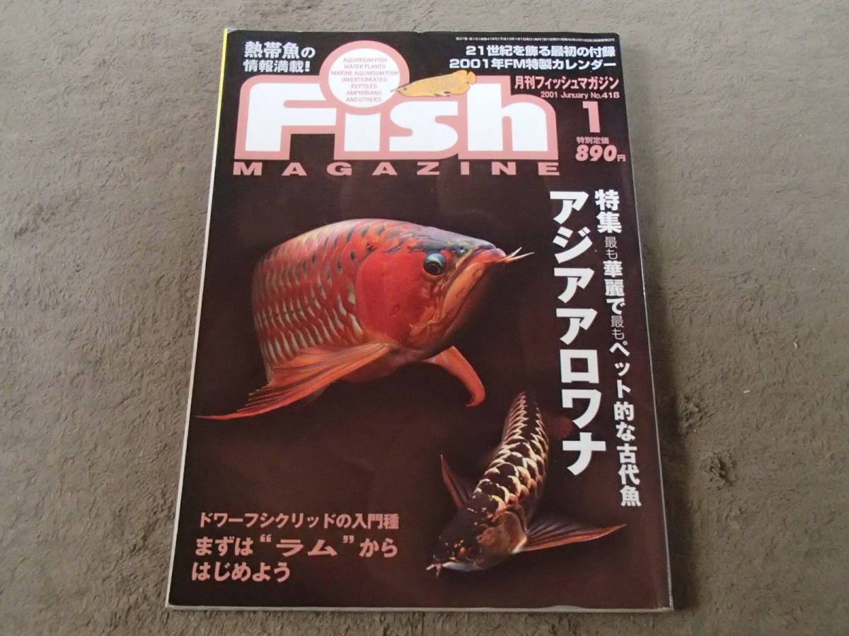 2025年最新】Yahoo!オークション -アロワナ本(観賞魚)の中古品