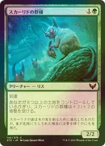 Foil スカーリドの群棲/Scurrid Colony [STX] ストリクスヘイヴン：魔法学院 MTG 日本語 142 H1