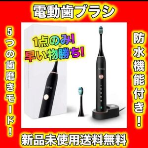 【5つのモード搭載で常に清潔に】電動歯ブラシ 高速振動 防水 USB充電式 IPX7