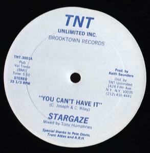 ダンクラ12inch★STARGAZE / You can’t have it★TNT records★