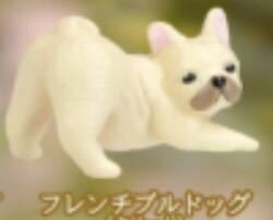 ★ふり向けば君が。。。犬ガチャ★(フレンチブルドッグ)★