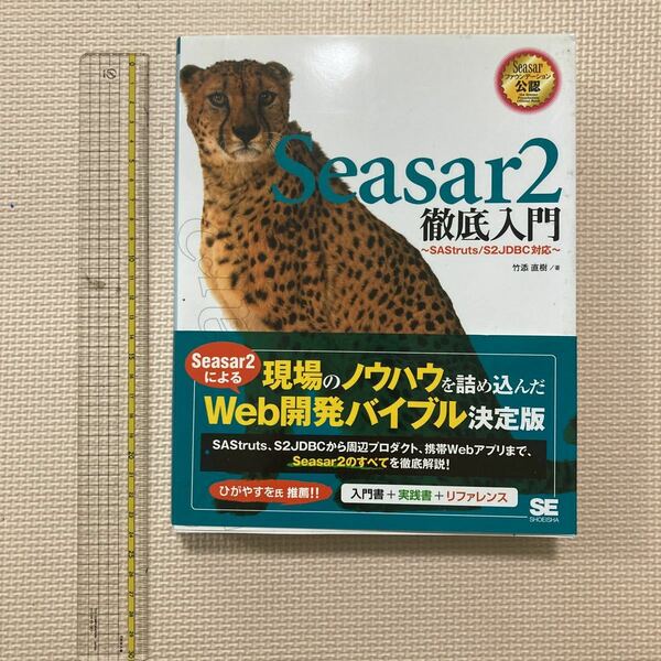 【送料無料】書籍　Seasar2徹底入門