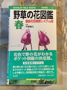 野草の花図鑑「春」(春) 平野隆久■YY