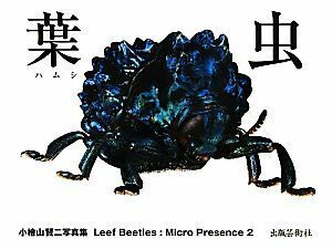  лист насекомое маленький кипарисовик туполистный гора . 2 фотоальбом Leaf Beetles микро pre zens2| маленький . гора . 2 [ работа ]