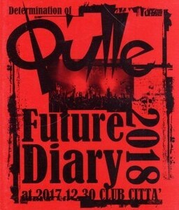 Ｄｅｔｅｒｍｉｎａｔｉｏｎ　ｏｆ　Ｑ’ｕｌｌｅ「Ｆｕｔｕｒｅ　Ｄｉａｒｙ　２０１８」　ａｔ　２０１７．１２．３０　ＣＬＵＢ　ＣＩＴ